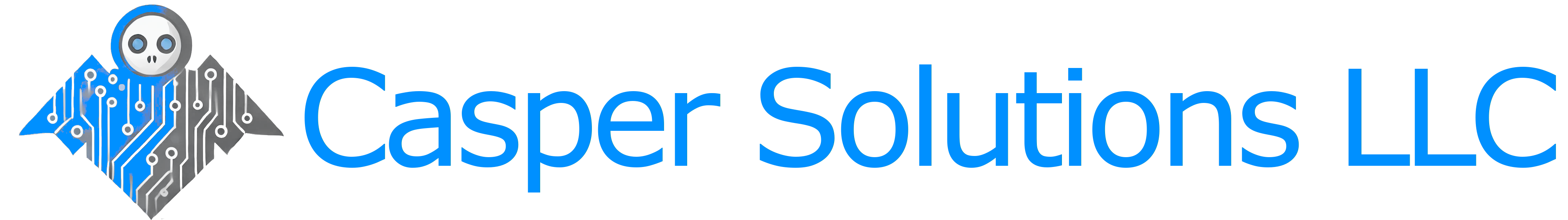 Casper Solutions LLC Logo